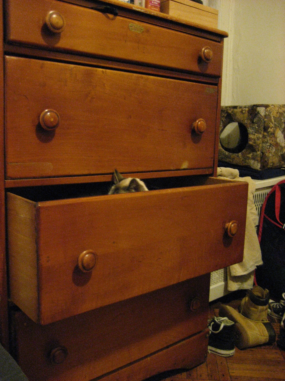 Cat Bureau