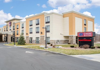 designsbyrachaelw: Pet Friendly Hotel Near Cicero Ny