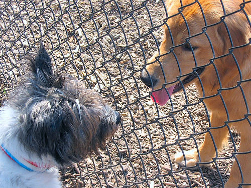 Dog Parks in Delaware - Petswelcome.com