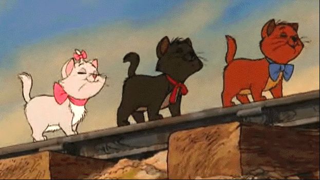 The Best Cat and Dog Movies