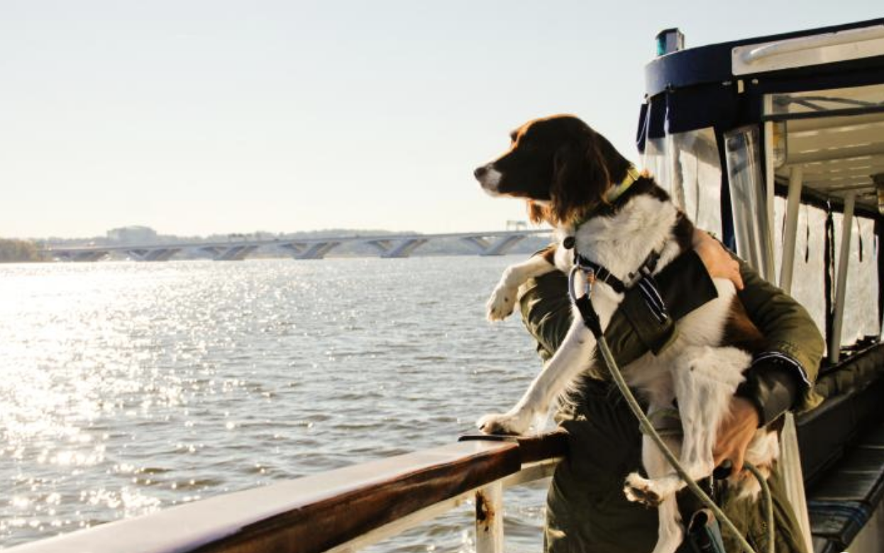 Great Pet Friendly Boat Cruises - Petswelcome.com