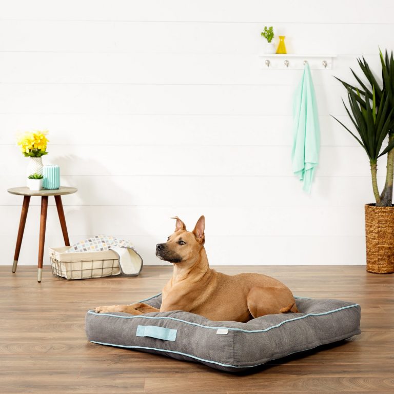 Best Rated Dog Beds 2024 Kiele Merissa